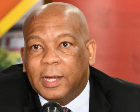 Electricity minister, Ramokgoba