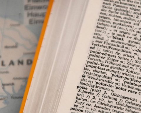Cambridge Dictionary Adds ‘Delulu’ to New Words List