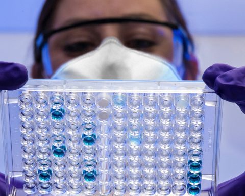 Hong Kong Confirms First Imported Chikungunya Case from China