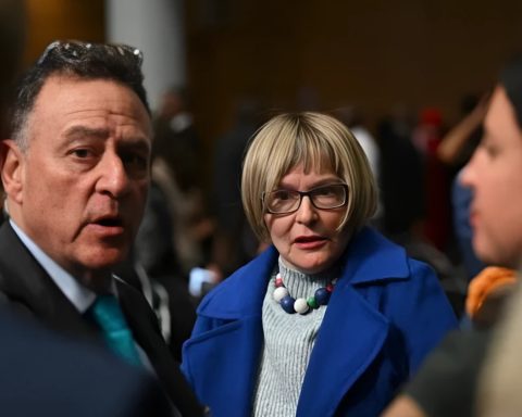 Helen Zille Joburg Mayor: DA Picks 2026 Candidate