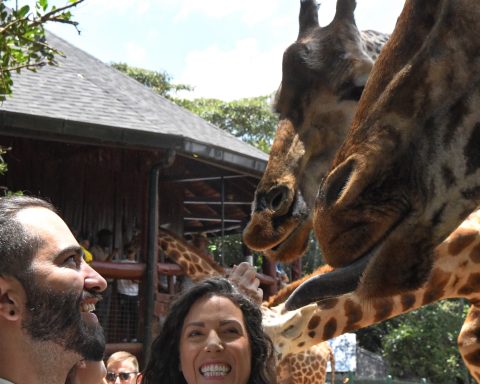 Kruger National Park Name Change Sparks Legal Fight