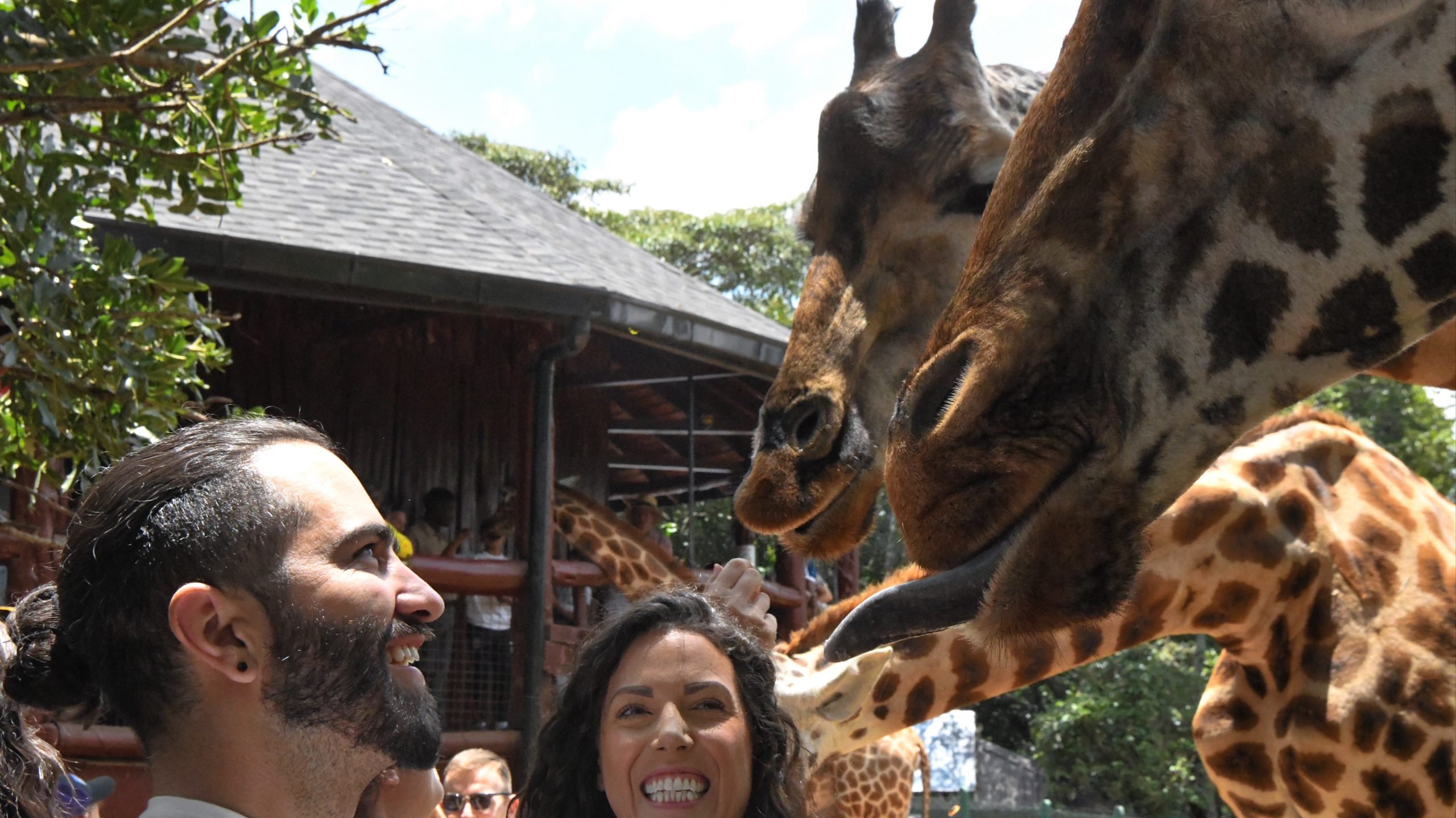 Kruger National Park Name Change Sparks Legal Fight