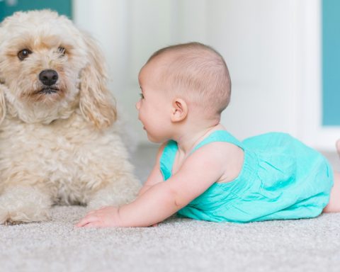 Blikkiesdorp Baby Abandonment Shocks Cape Town