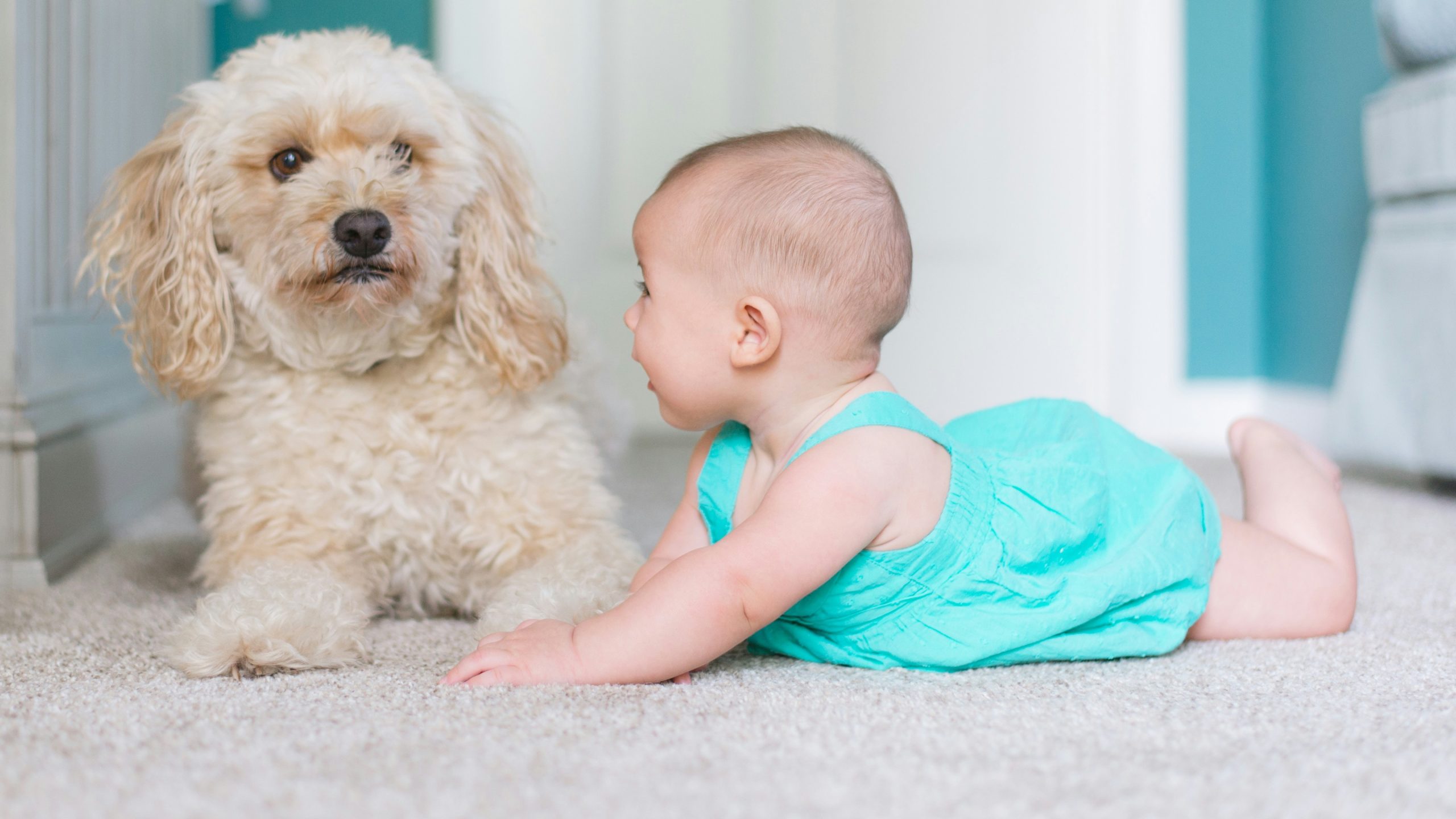 Blikkiesdorp Baby Abandonment Shocks Cape Town