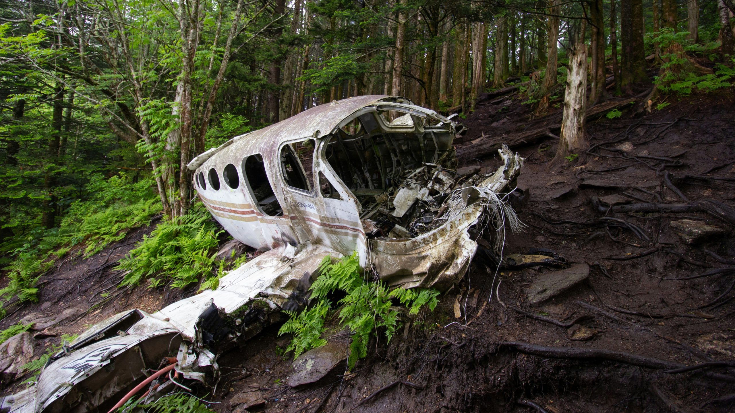 Alberton Plane Crash Hits School