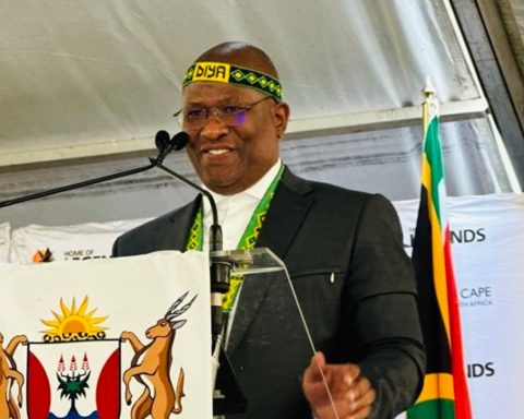 Eastern Cape Municipalities Crisis: Seven Face Financial Ruin