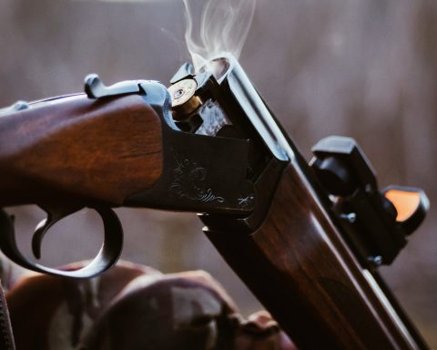 Hanover Park Shooting Kills Four-Year-Old Boy