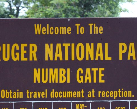 Kruger Park Name Change Dismissed by Government