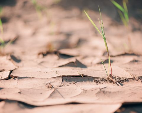 South Africa water crisis: two new laws, global lessons